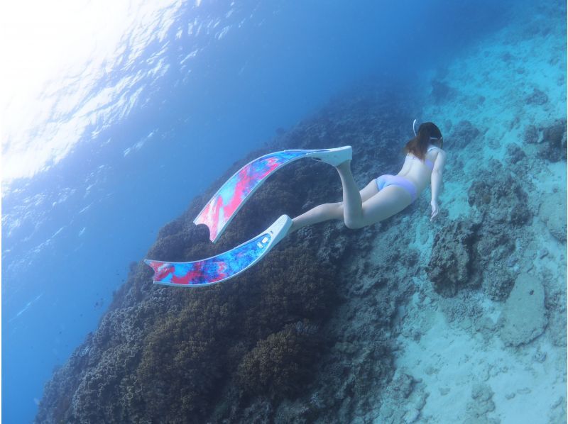 2025年4月度Google口コミ数「沖縄ダイビング」1位！那覇発・半日慶良間諸島】かなづちでもできる！撮影・レクチャー付きスキンダイビングの紹介画像