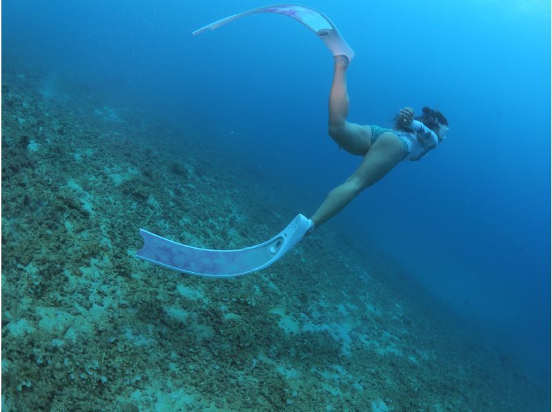 2025年4月度Google口コミ数「沖縄ダイビング」1位！那覇発・半日慶良間諸島】かなづちでもできる！撮影・レクチャー付きスキンダイビングの紹介画像
