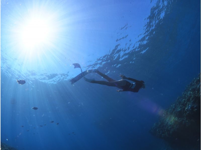 2025年4月度Google口コミ数「沖縄ダイビング」1位！那覇発・半日慶良間諸島】かなづちでもできる！撮影・レクチャー付きスキンダイビングの紹介画像