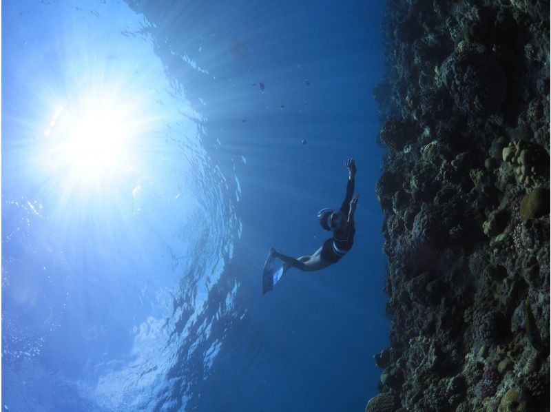 2025年4月度Google口コミ数「沖縄ダイビング」1位！那覇発・半日慶良間諸島】かなづちでもできる！撮影・レクチャー付きスキンダイビングの紹介画像
