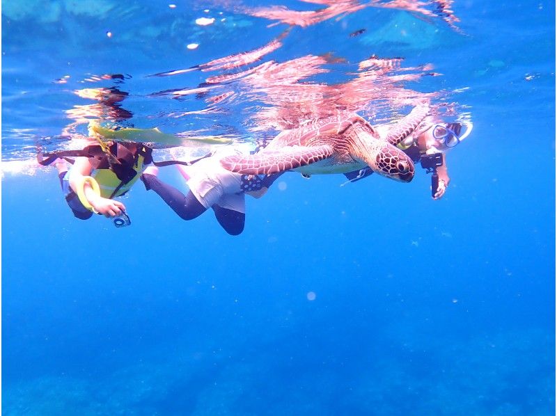 おすすめ★最安【石垣島シュノーケリング・ウミガメ・PM半日】遭遇率90％！お魚＆ウミガメシュノーケルボートツアー☆写真撮影無料☆の紹介画像