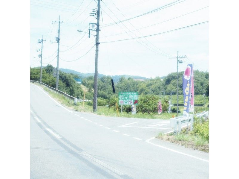 [Okayama / Akaiwa] Grape Plan-Shine Muscat Hunting "1 พวง + 20 เม็ดชิม"の紹介画像