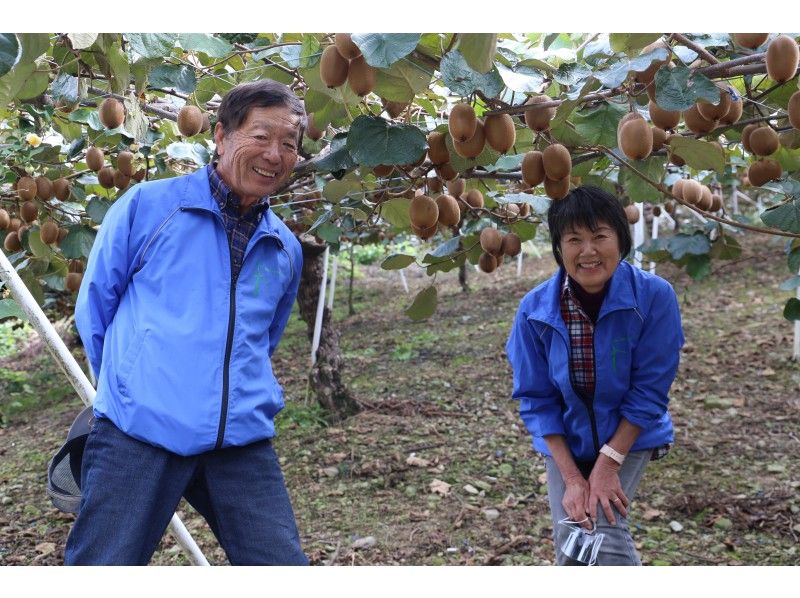 [Tokushima / Sanagochi Village] Enjoy the charm of kiwi! At a beautiful satoyama farm, you can experience harvesting and desserts!の紹介画像