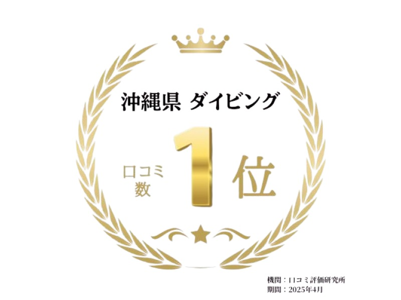 Google口コミ数第1位【那覇発・半日・慶良間諸島】かなづちでもできる！沖縄屈指の透明度！撮影付・レクチャー付き初心者スキンダイビングの紹介画像