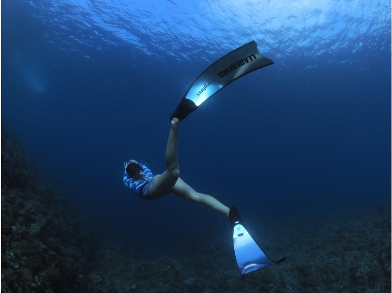 Google口コミ数第1位【那覇発・半日・慶良間諸島】かなづちでもできる！沖縄屈指の透明度！撮影付・レクチャー付き初心者スキンダイビングの紹介画像