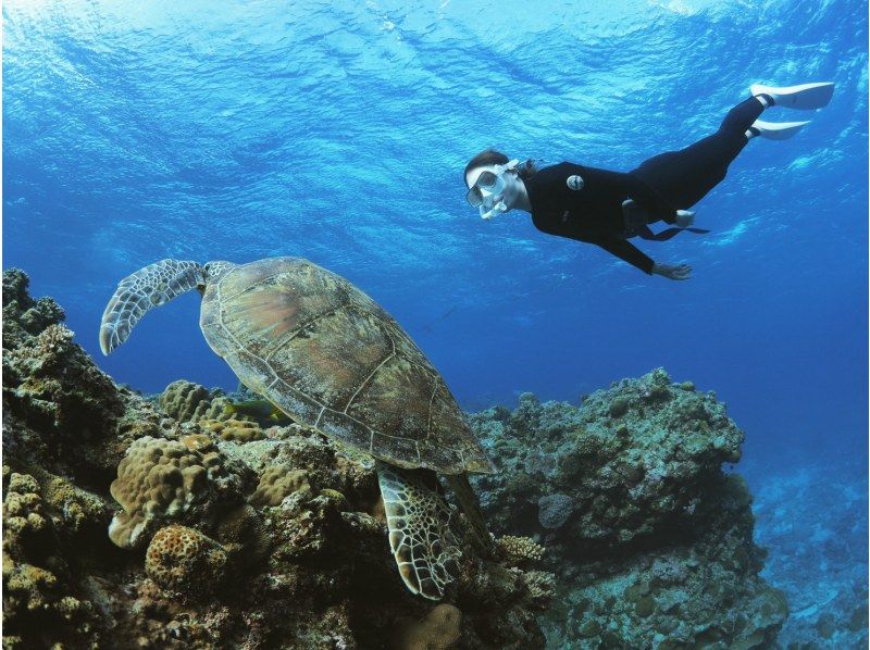 Google口コミ数第1位【那覇発・半日・慶良間諸島】かなづちでもできる！沖縄屈指の透明度！撮影付・レクチャー付き初心者スキンダイビングの紹介画像