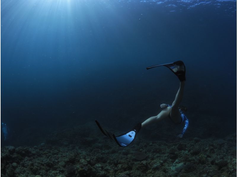 2025年4月度Google口コミ数「沖縄ダイビング」1位！那覇発・半日慶良間諸島】かなづちでもできる！レクチャー・撮影付きスキンダイビングの紹介画像