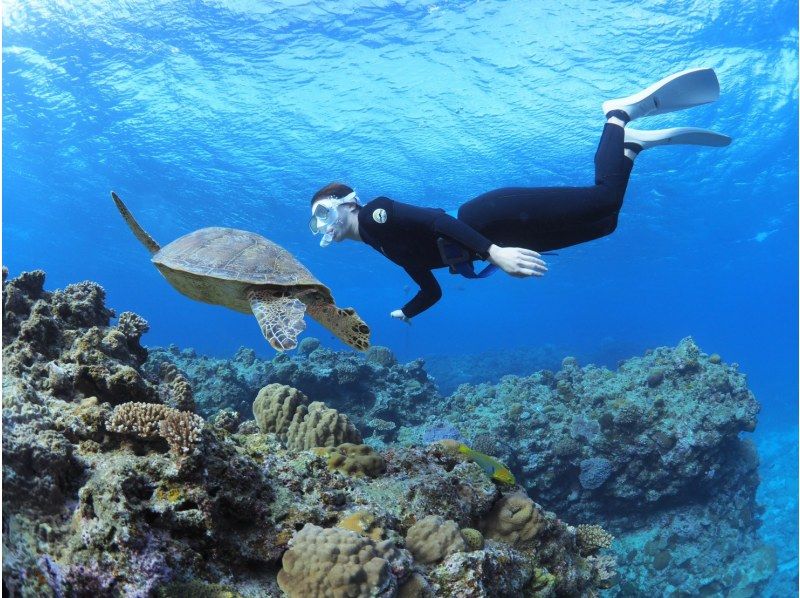 2025年4月度Google口コミ数「沖縄ダイビング」1位！那覇発・半日慶良間諸島・経験者用！ロングフィンレンタル有！撮影付スキンダイビングの紹介画像