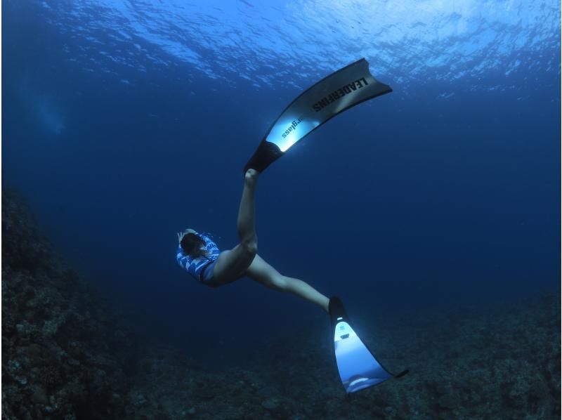 2025年4月度Google口コミ数「沖縄ダイビング」1位！那覇発・半日慶良間諸島・経験者用！ロングフィンレンタル有！撮影付スキンダイビングの紹介画像