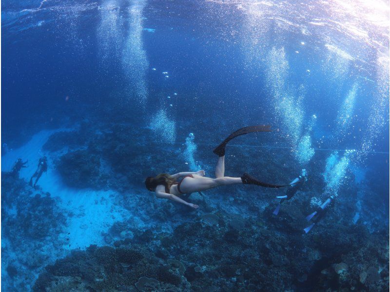 2025年4月度Google口コミ数「沖縄ダイビング」1位！那覇発・半日慶良間諸島・経験者用！ロングフィンレンタル有！撮影付スキンダイビングの紹介画像