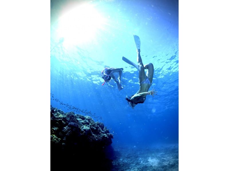 2025年4月度Google口コミ数「沖縄ダイビング」1位！那覇発・半日慶良間諸島・経験者用！ロングフィンレンタル有！撮影付スキンダイビングの紹介画像