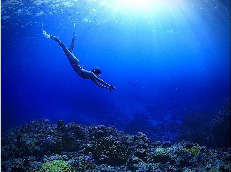2025年4月度Google口コミ数「沖縄ダイビング」1位！那覇発・半日慶良間諸島・経験者用！ロングフィンレンタル有！撮影付スキンダイビングの紹介画像