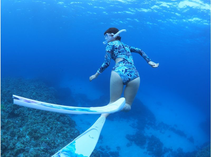 2025年4月度Google口コミ数「沖縄ダイビング」1位！那覇発・半日慶良間諸島・経験者用！ロングフィンレンタル有！撮影付スキンダイビングの紹介画像