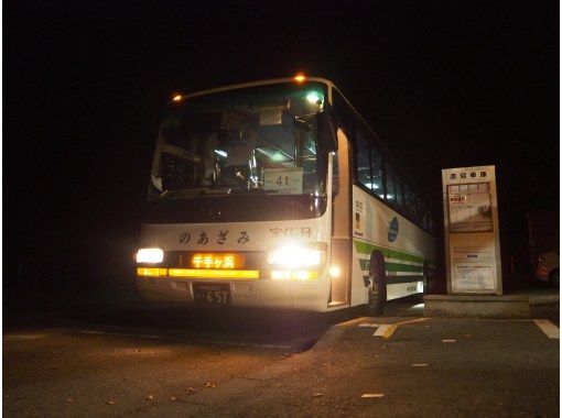 栃木 奥日光 夜間臨時運行バスで行く アニマル スターウォッチングナイトツアー 全日程 催行決定 アクティビティジャパン