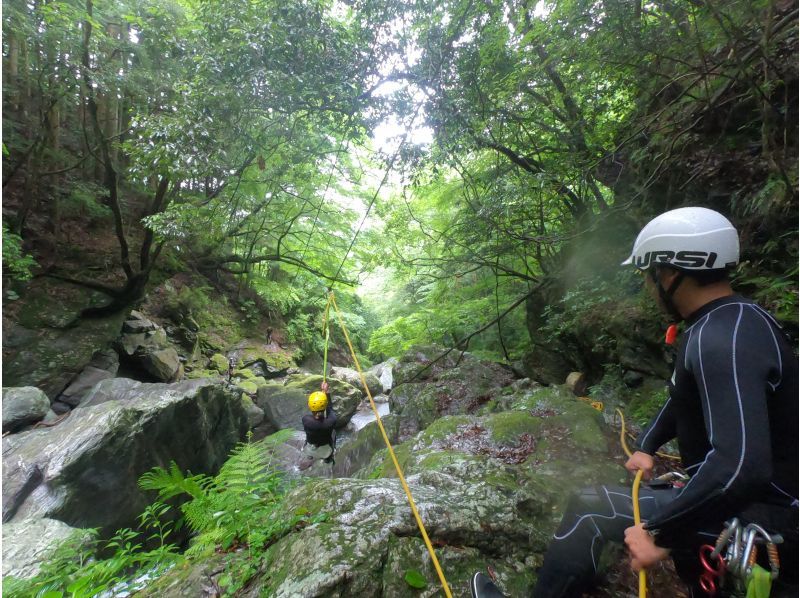 [Shikoku ・ Kochi] Yoshino River Canyoning (half-day course)の紹介画像