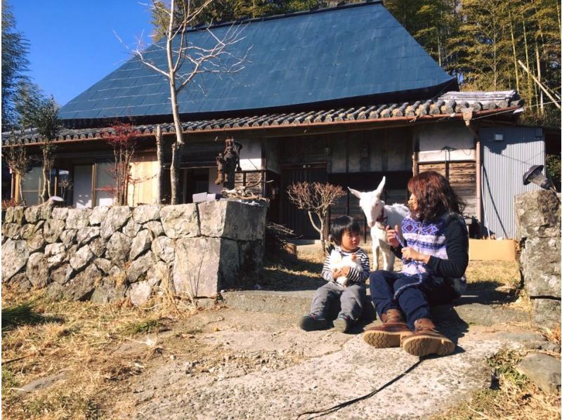 【徳島・四国】タケノコ堀り体験＆採れたてたてタケノコで料理体験の紹介画像