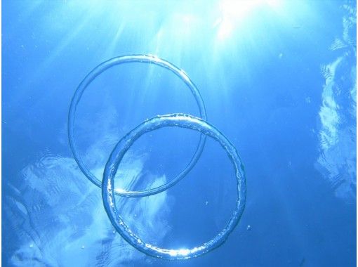 宮古島 八重干瀬 やびじ 半日シュノーケリング グラスボートで行く 初心者の方から安心安全と好評 写真撮影 アクティビティジャパン 宮古島 八重干瀬 やびじ 半日シュノーケリング グラスボートで行く 初心者の方から安心安全と好評 写真撮影 アクティビティジャパン