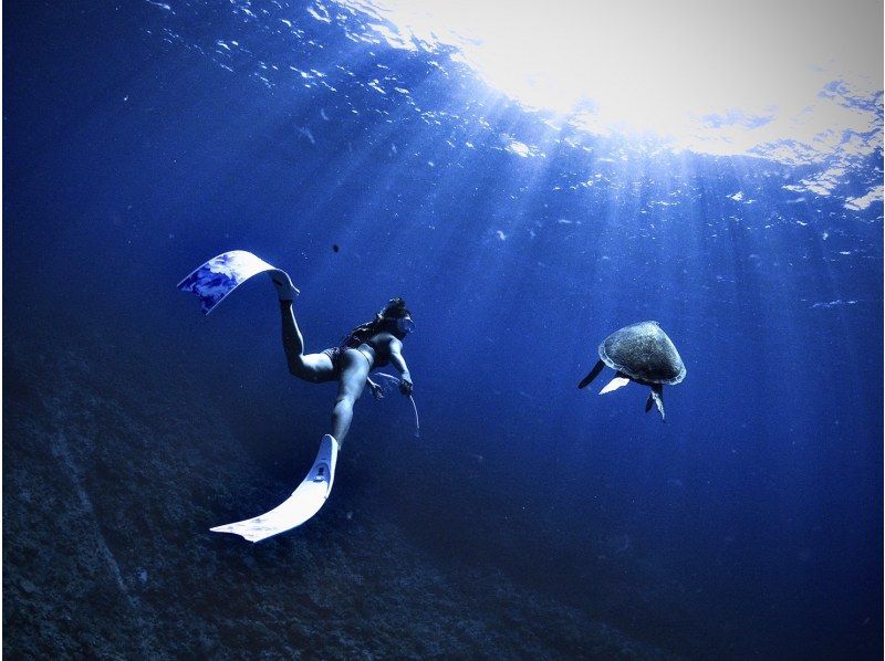 Google口コミ数第1位【那覇発・半日・慶良間諸島】撮影付！沖縄屈指の透明度！ロングフィンレンタルあり（スキンダイビング経験者専用コース）の紹介画像