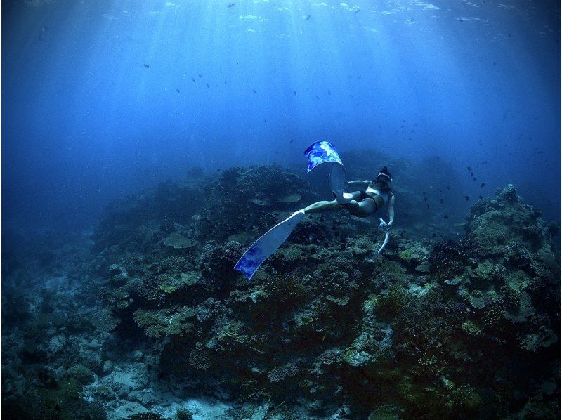 Google口コミ数第1位【那覇発・半日・慶良間諸島】撮影付！沖縄屈指の透明度！ロングフィンレンタルあり（スキンダイビング経験者専用コース）の紹介画像