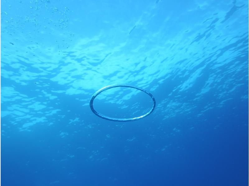 Google口コミ数第1位【那覇発・半日・慶良間諸島】撮影付！沖縄屈指の透明度！ロングフィンレンタルあり（スキンダイビング経験者専用コース）の紹介画像