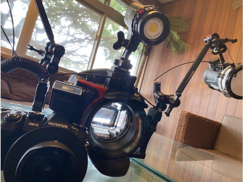 2025年4月度Google口コミ数「沖縄ダイビング」1位！那覇発・半日慶良間諸島・ロングフィンレンタル有！撮影付スキンダイビング！経験者用の紹介画像