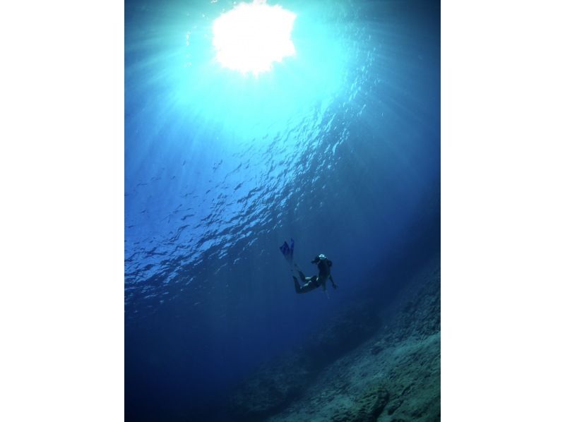 Google口コミ数第1位【那覇発・半日・慶良間諸島】撮影付！沖縄屈指の透明度！ロングフィンレンタルあり（スキンダイビング経験者専用コース）の紹介画像