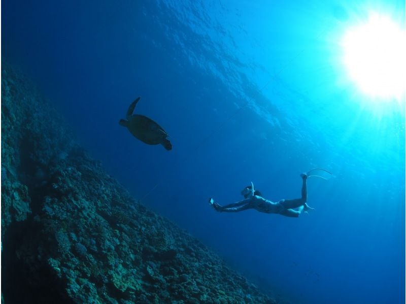 Google口コミ数第1位【那覇発・半日・慶良間諸島】撮影付！沖縄屈指の透明度！ロングフィンレンタルあり（スキンダイビング経験者専用コース）の紹介画像
