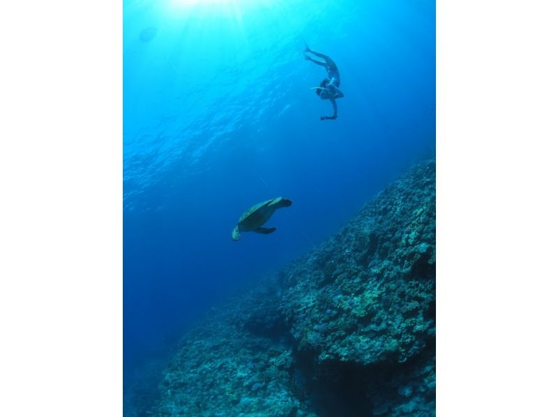 Google口コミ数第1位【那覇発・半日・慶良間諸島】撮影付！沖縄屈指の透明度！ロングフィンレンタルあり（スキンダイビング経験者専用コース）の紹介画像