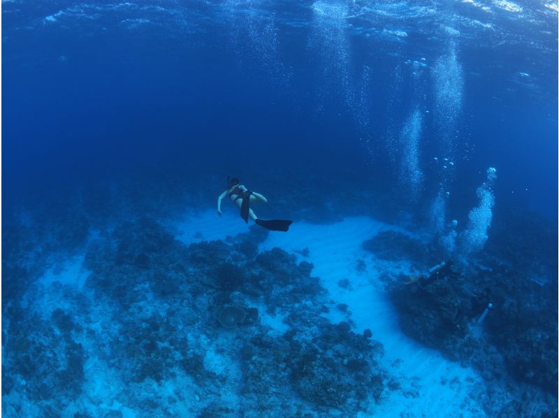 Google口コミ数第1位【那覇発・半日・慶良間諸島】撮影付！沖縄屈指の透明度！ロングフィンレンタルあり（スキンダイビング経験者専用コース）の紹介画像