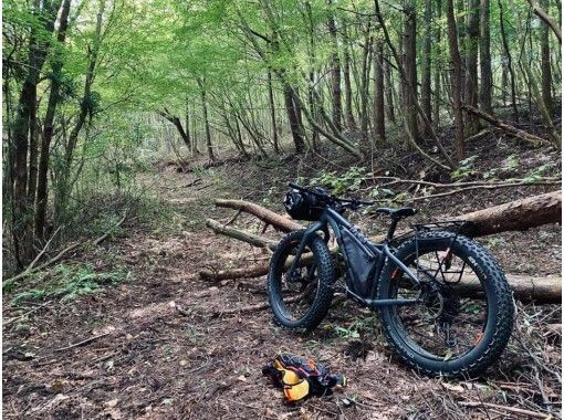 森の中を自転車でかけめぐる初めて体験をしてみませんか ガイドと行くオフロードサイクリングツアー アクティビティジャパン