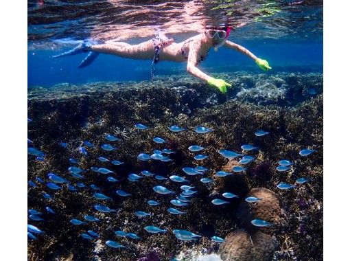 沖縄県 宮古島 伊良部島発 ボートで行く青の洞窟 八重干瀬コーラルスペシャルシュノーケルツアー 写真データ無料 アクティビティジャパン