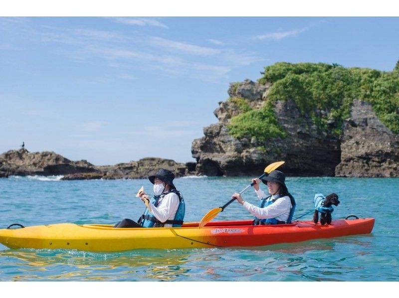 Enjoying a sea kayaking tour with a dog at "GO 4 SURF" in Katsuura, Chiba