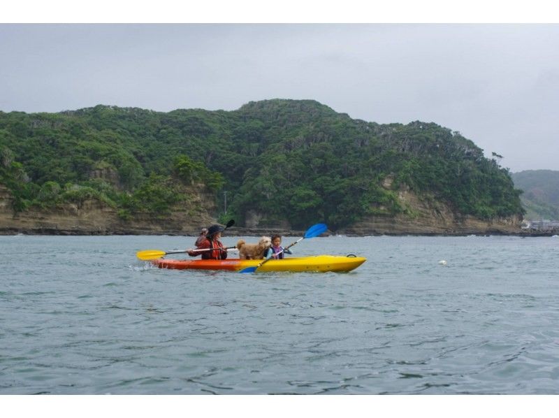 【千葉・勝浦】静かな海でシーカヤックを楽しもう！シーカヤック体験ツアー ♪の紹介画像