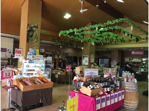 岩手 花巻 21年4 9月観光タクシー やまねこ 午後コース レトロジャンボタクシーで花巻めぐり アクティビティジャパン