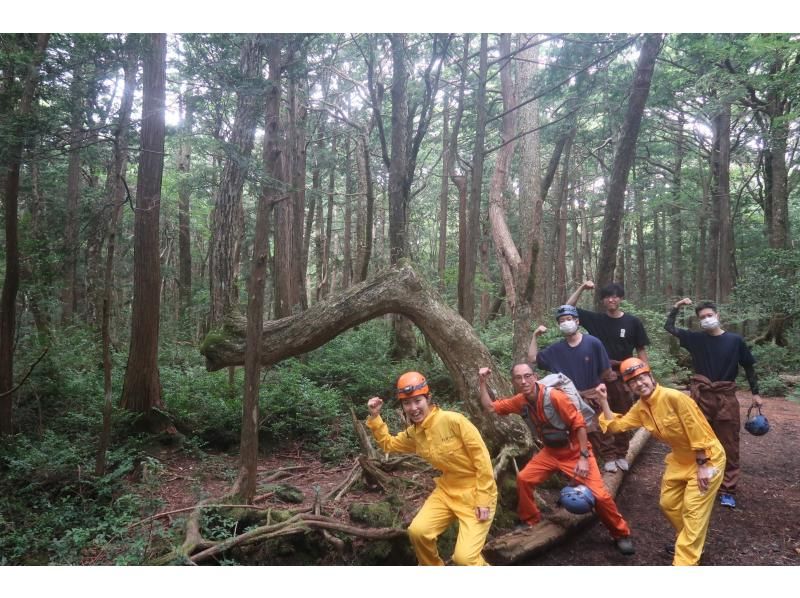 【山梨・富士山麓】テレビで放送されました。☆「氷の洞窟」探検+「生命の森　青木ヶ原樹海」散策　ファミリー・グループ・カップルに！ の紹介画像