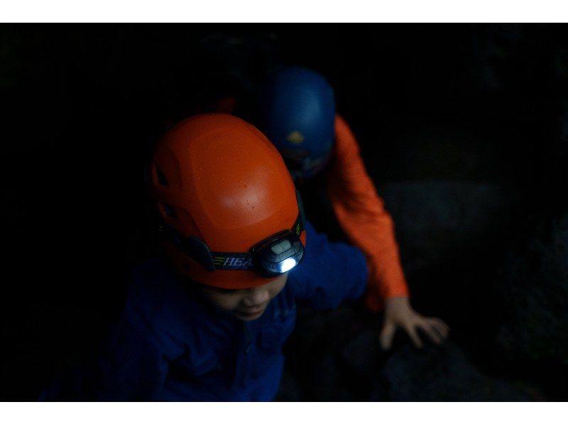 【山梨・富士山麓】テレビで放送されました。☆「氷の洞窟」探検+「生命の森　青木ヶ原樹海」散策　ファミリー・グループ・カップルに！ の紹介画像