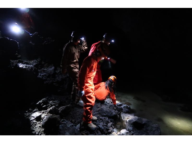 【山梨・富士山麓】完全プライベート！テレビ放送されました。「氷の洞窟」探検+「生命の森　青木ヶ原樹海」散策　ファミリー・グループ・カップルにの紹介画像