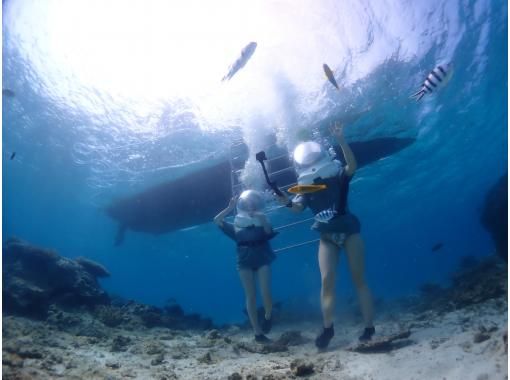 毎日5組限定 海中シーウォーク 絶叫ウォータートイ 写真撮影 熱帯魚餌付け 設備無料 アクティビティジャパン