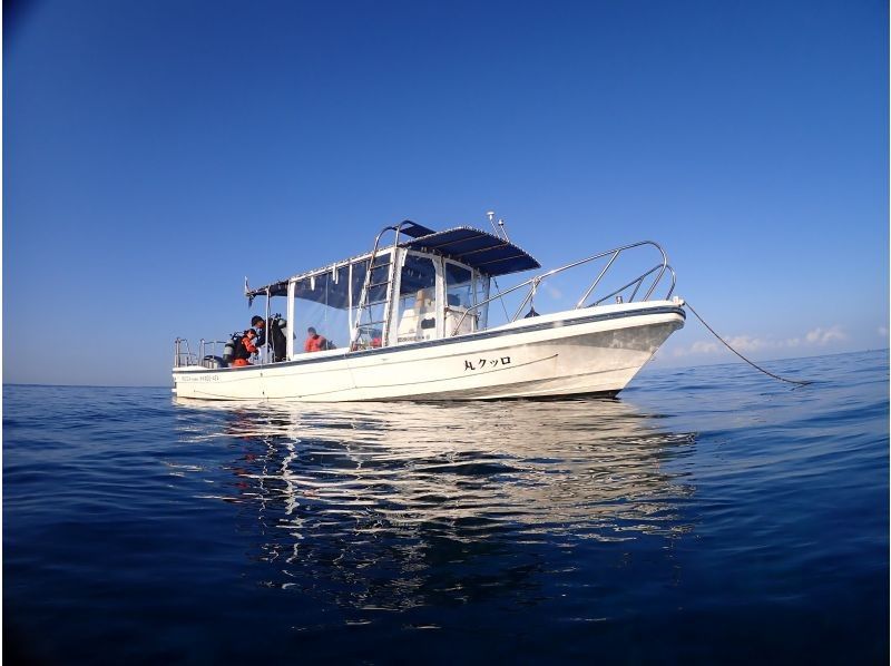 ［沖縄・北谷］温水シャワー・インナーで寒さ対策バッチリ！ボート体験ダビング1本！写真・餌やりサービスの紹介画像