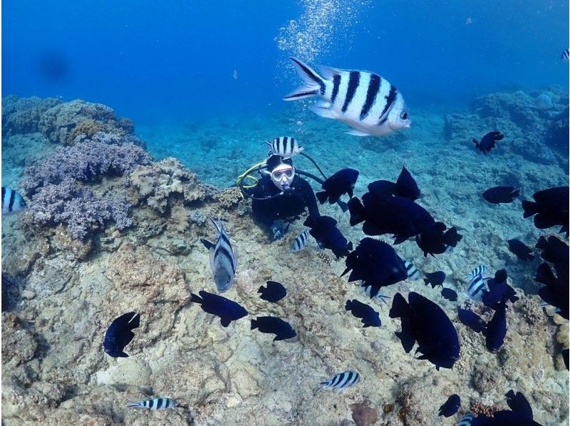 ［沖縄・北谷］温水シャワー・インナーで寒さ対策バッチリ！ボート体験ダビング1本！写真・餌やりサービスの紹介画像