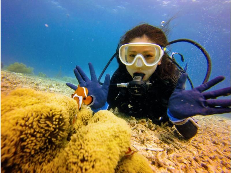 ［沖縄・北谷］温水シャワー・インナーで寒さ対策バッチリ！ボート体験ダビング1本！写真・餌やりサービスの紹介画像