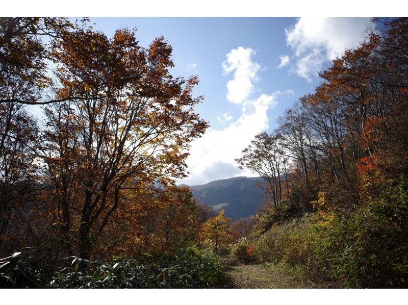 [Hakuba, Nagano] ★ Beginners OK ★ Enjoy forest bathing and easy bank area with eBike ■ 4-hour course ■の紹介画像