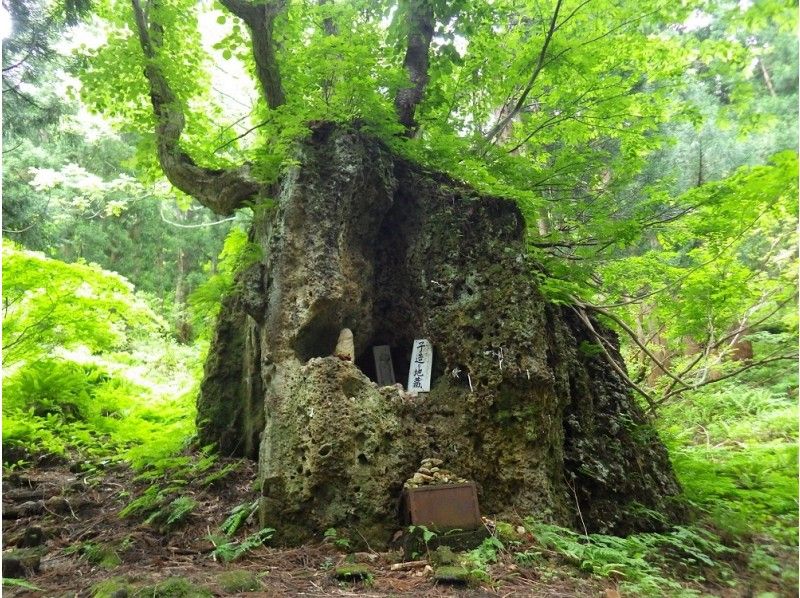 [จังหวัดยามากาตะ, ฮิจิโอริออนเซ็น] "เดินป่าจิโซคุระ" ตื่นเต้นเล็กน้อย! ?? เดินป่ารอบจุดไฟโชคดีสถานที่จับคู่ Hijiori Onsen "Jizokura"!の紹介画像