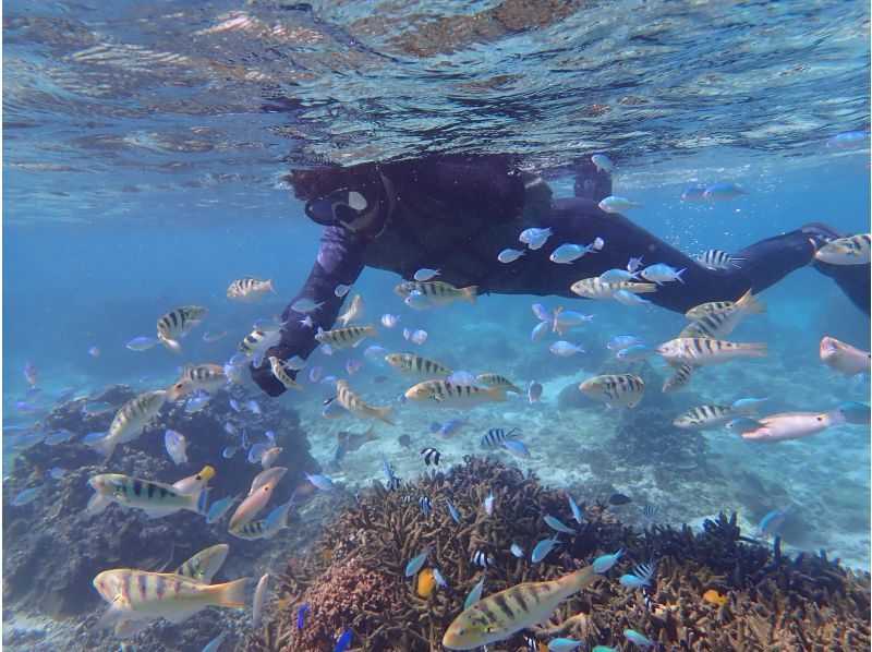 《シュノーケリングセット(ウエットスーツ込み)レンタル》空港から車で10分｜サイズ豊富｜洗い不要の紹介画像