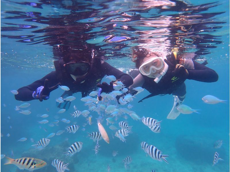 《シュノーケリングセット(ウエットスーツ込み)レンタル》空港から車で10分｜サイズ豊富｜洗い不要の紹介画像