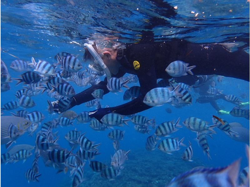 《シュノーケリングセット(ウエットスーツ込み)レンタル》空港から車で10分｜サイズ豊富｜洗い不要の紹介画像
