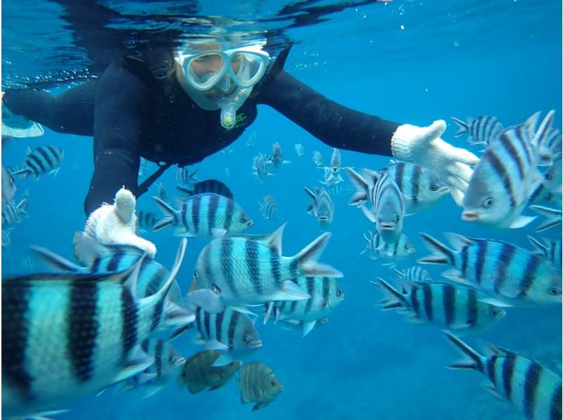 ☆ All-you-can-rent and play all day ☆ "Snorkel set rental"の紹介画像