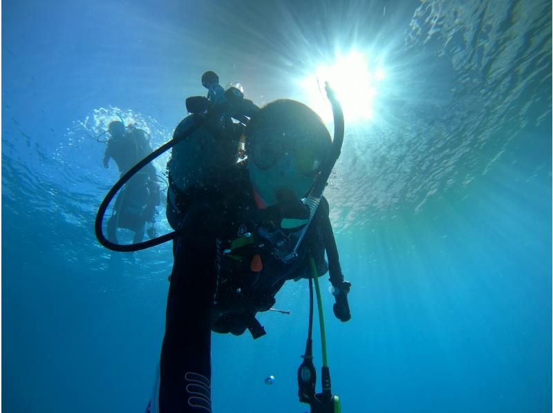 Amami Oshima Diving Tour Recommended Shop Reputation and Word of Mouth Thorough Introduction!