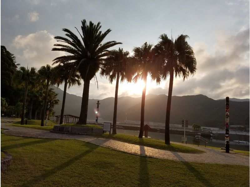 [Mie Prefecture, Taiki Town] Sunset SUP YOGA at the tropical garden!の紹介画像