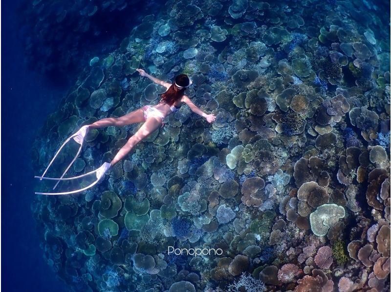 【沖縄・石垣島】１組専属！ガイド貸切！マンタやウミガメのポイントでシュノーケリング！スキン幻の島の紹介画像